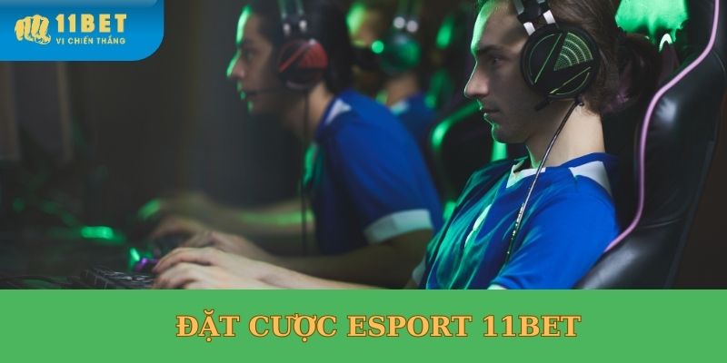 esport 11bet