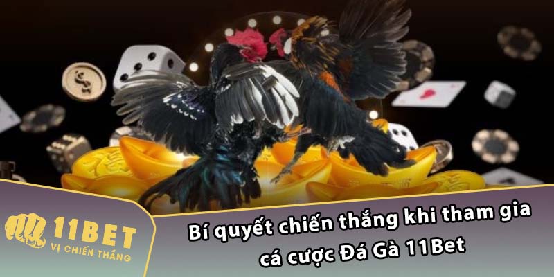 Bí quyết chiến thắng khi tham gia cá cược Đá Gà 11Bet