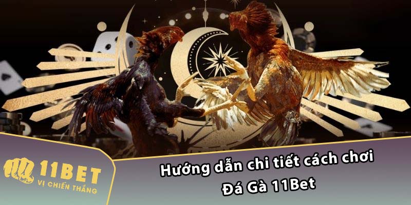 Hướng dẫn chi tiết cách chơi Đá Gà 11Bet