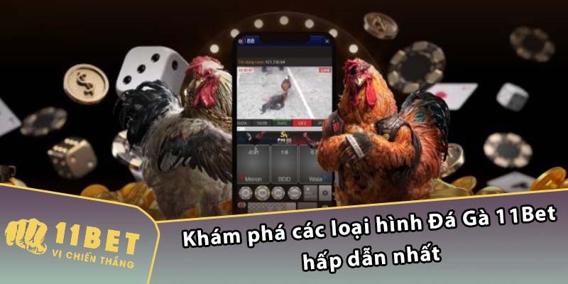 Khám phá các loại hình Đá Gà 11Bet hấp dẫn nhất